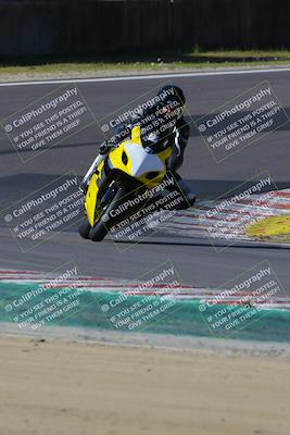 media/Mar-17-2024-Fastrack Riders (Sun) [[c7d6f8c14c]]/Level 2/Turn 6/